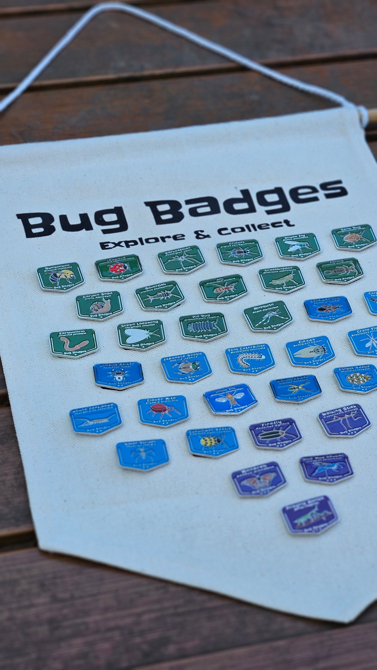 Bug Badges Monthly Challenge