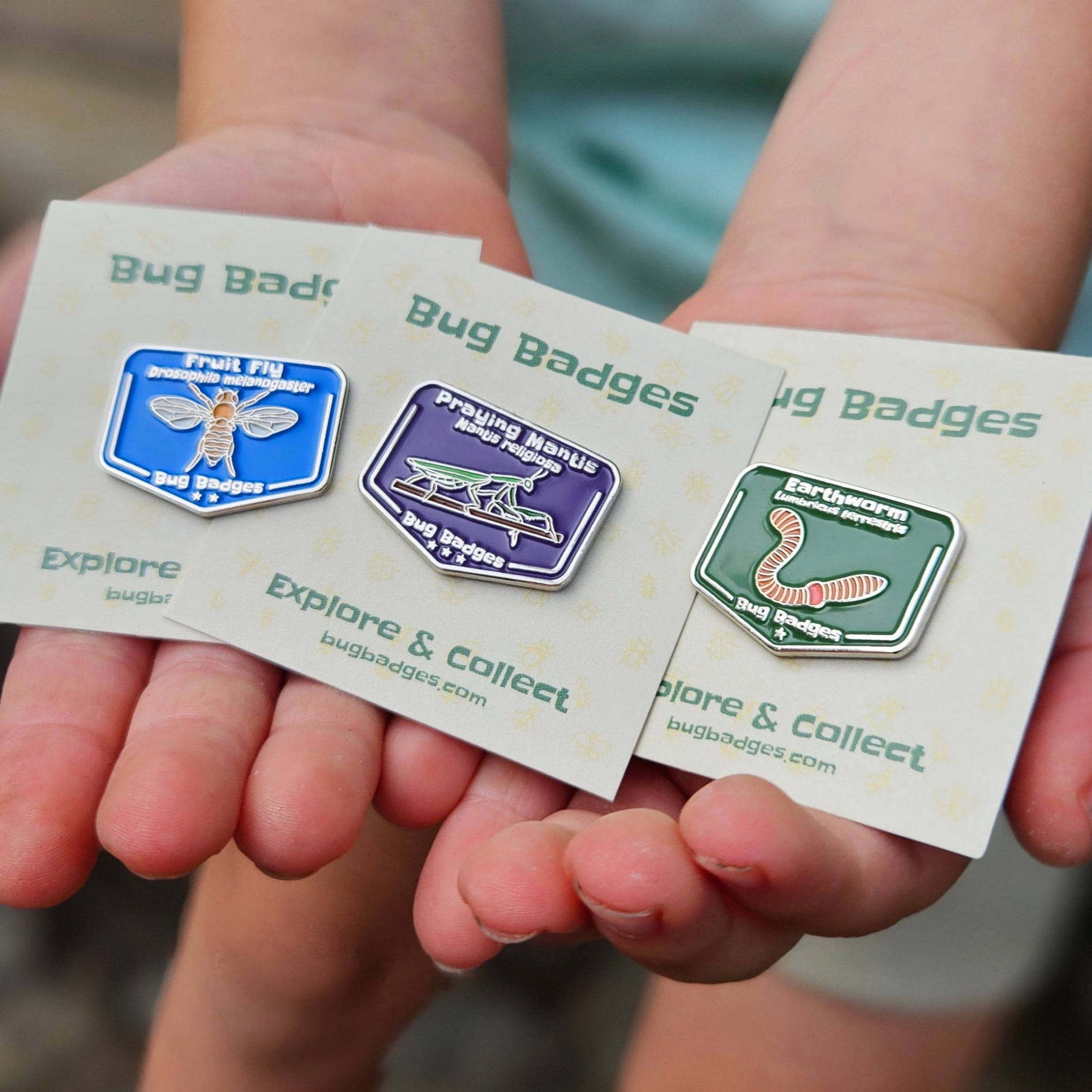 Round Insect Badge Bug Badges