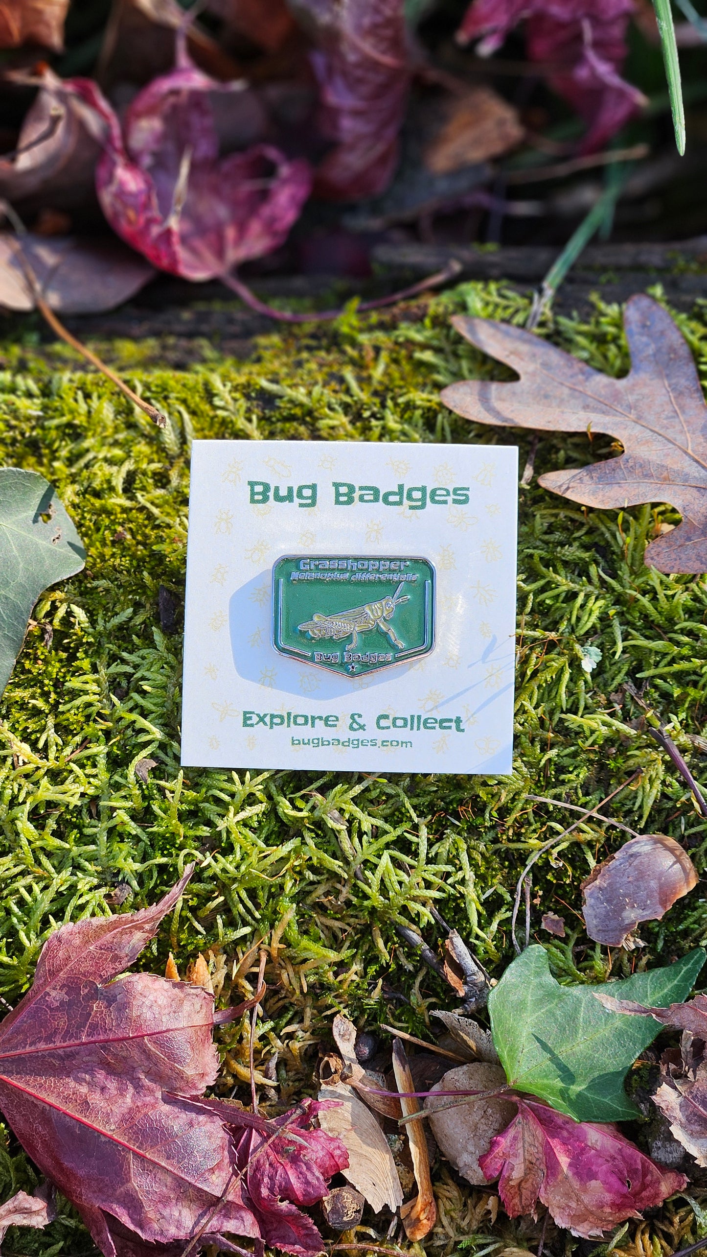 Bug Badges Monthly Challenge