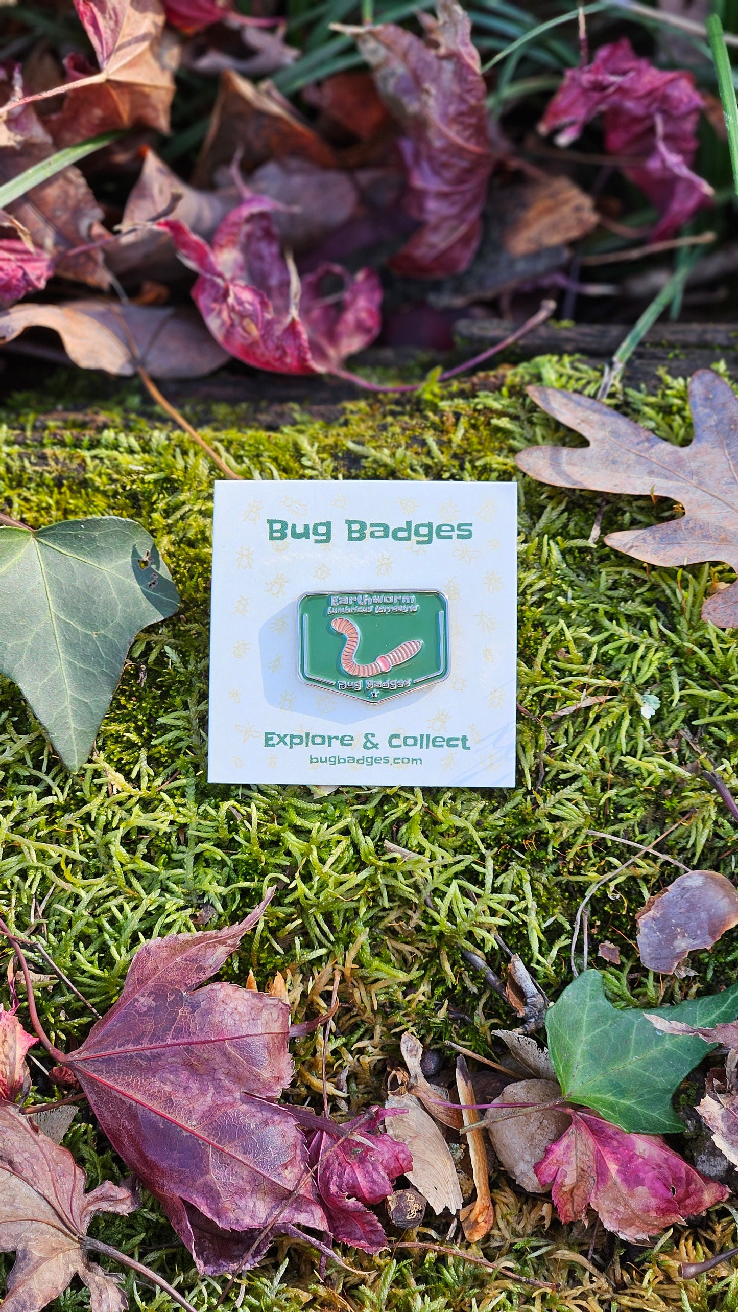 Bug Badges Monthly Challenge