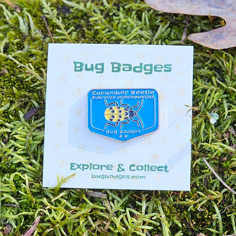 Round Insect Badge Bug Badges