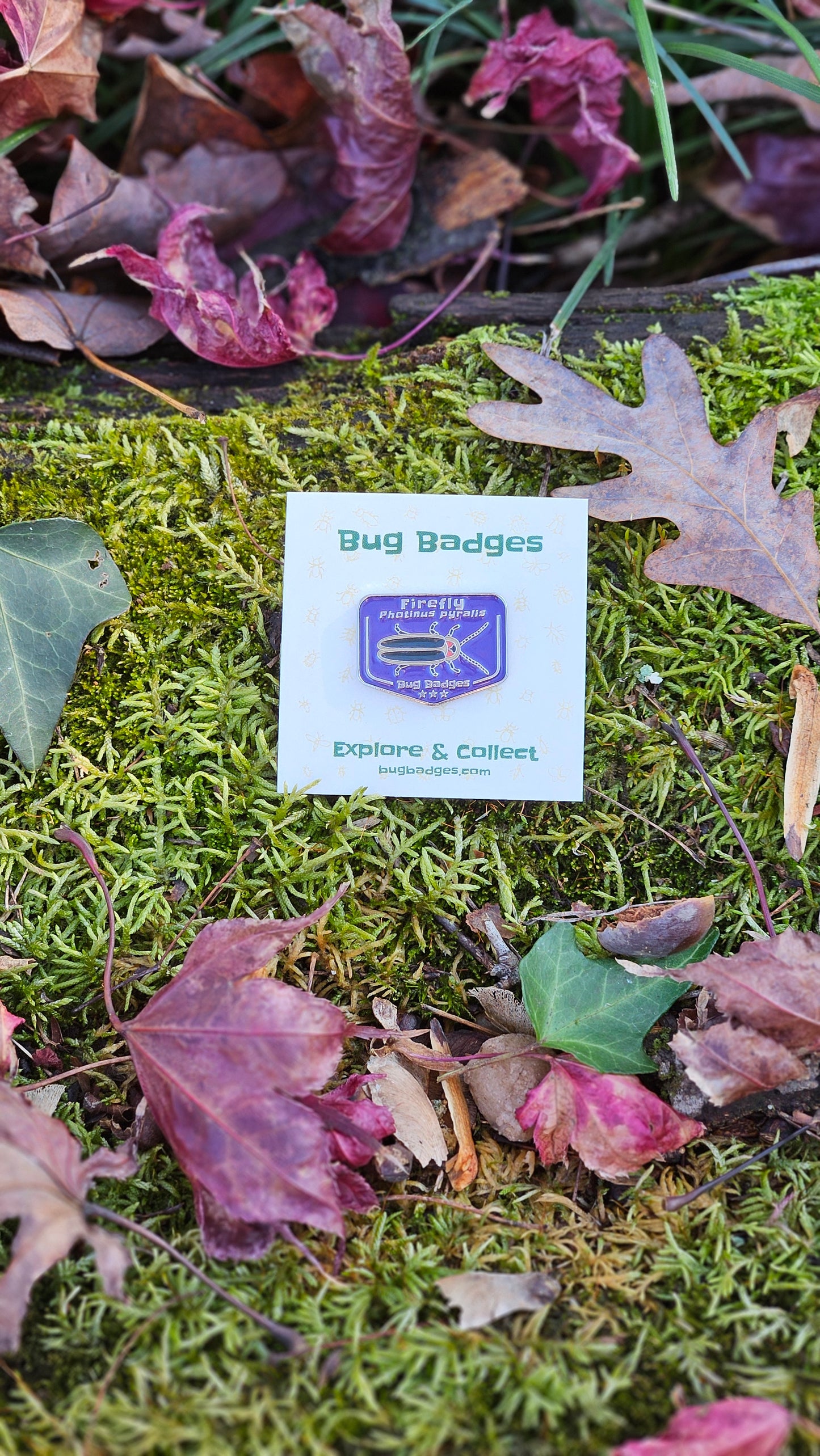 Bug Badges Monthly Challenge