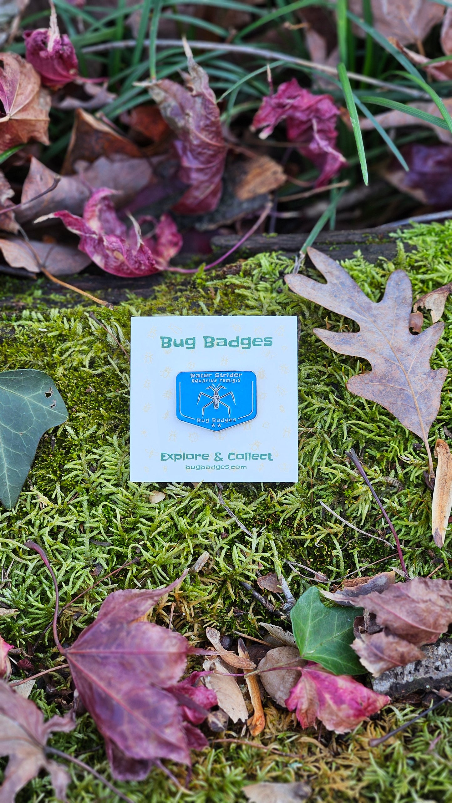 Bug Badges Monthly Challenge