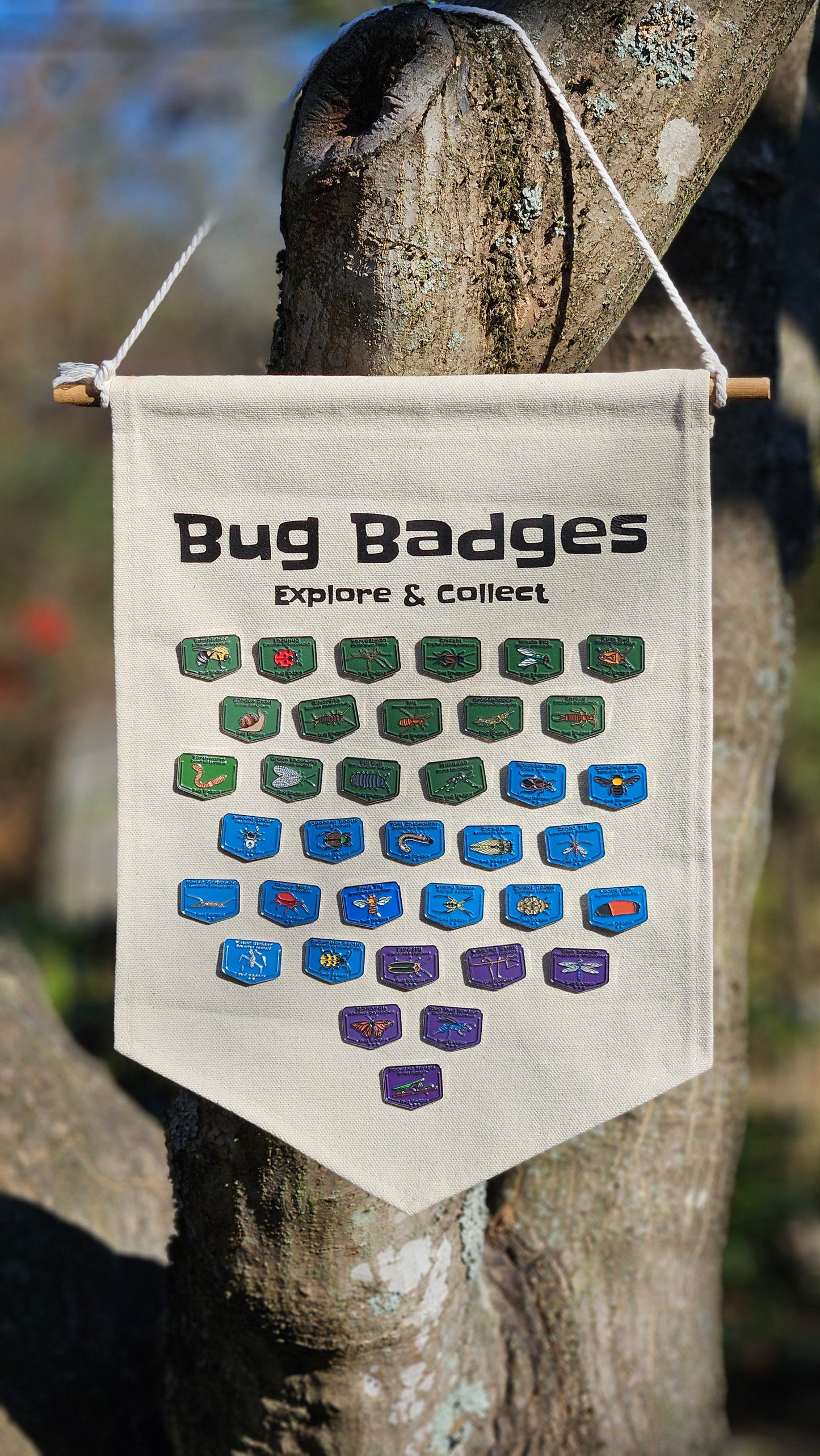 Bug Badges Monthly Challenge