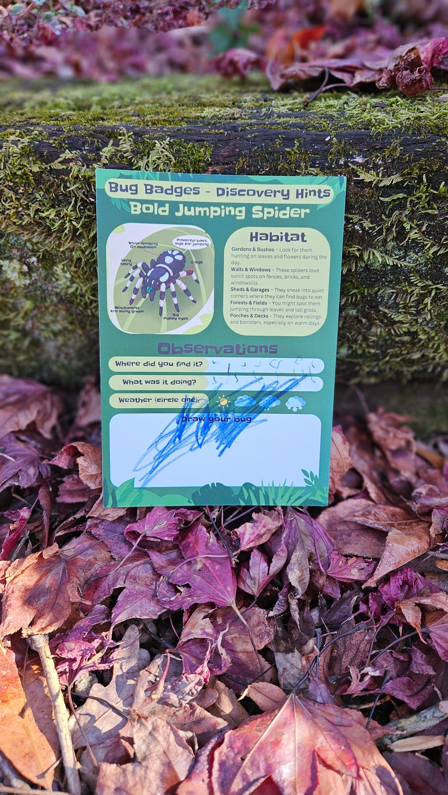 Bug Badges Monthly Challenge