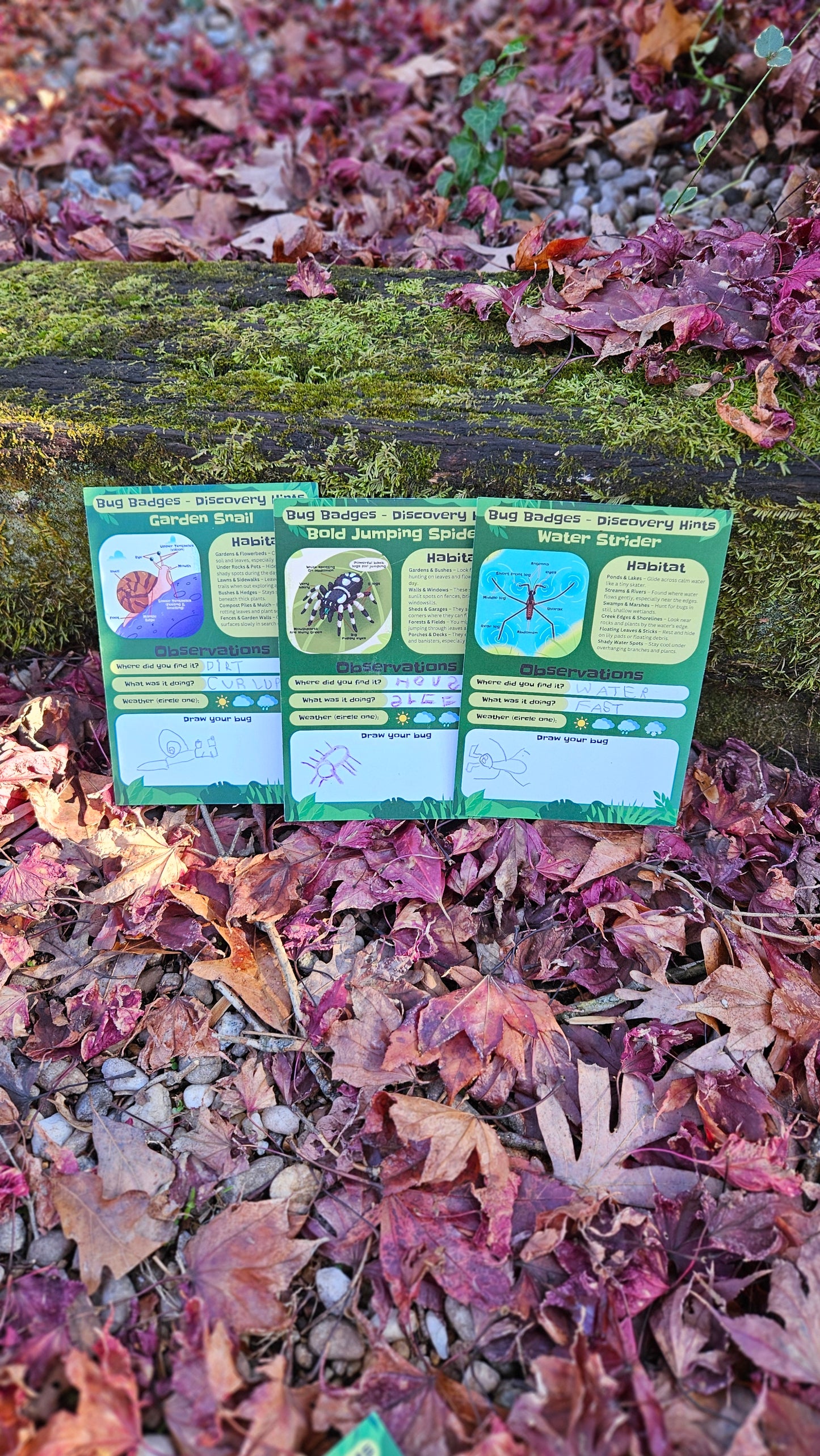 Bug Badges Monthly Challenge