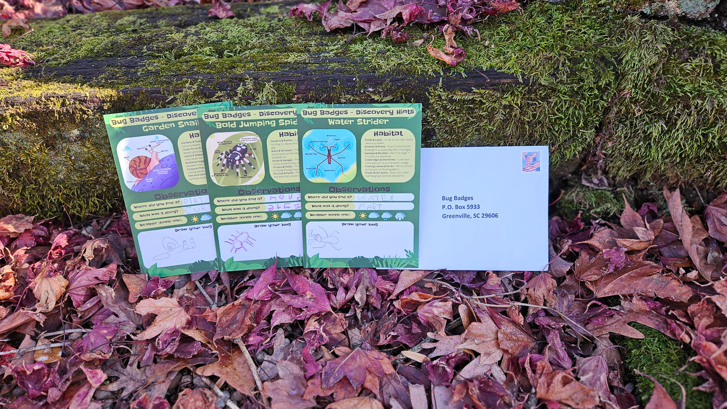 Bug Badges Monthly Challenge