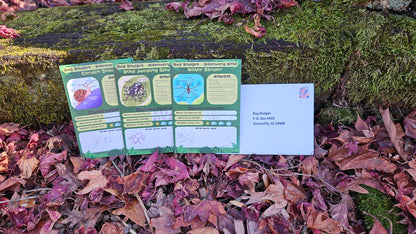 Bug Badges Monthly Challenge