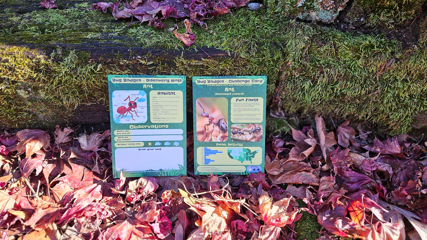 Bug Badges Monthly Challenge