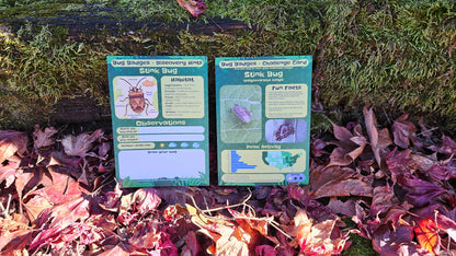 Bug Badges Monthly Challenge