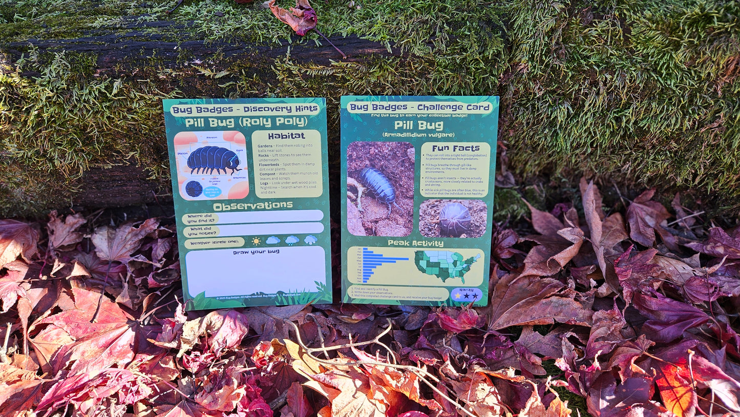 Bug Badges Monthly Challenge